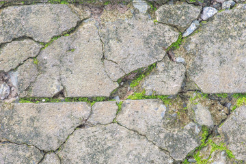 Obraz premium Soil or dirt with old cement from contruction road for background