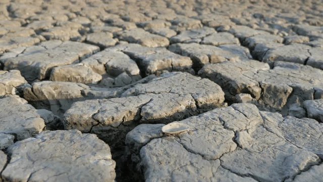 Dry earth cracked by drought on a water reservoir in summer
