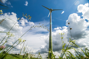 wind turbines in green field