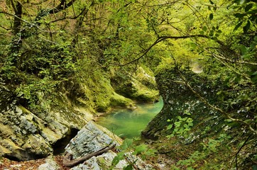 The rough mountain river flows among the rocks covered with green moss.