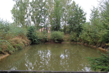 staw © Kamil