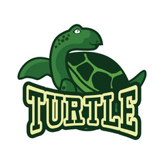 green turtle logo,  vector illustration