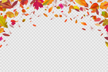 Autumn falling leaves. Autumnal forest foliage fall. Vector illustration isolated on white background. Withering leaf background, foliage banner with place