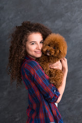 Toy poodle puppy in female hands, copy space