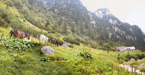 Chalet Malaiesti Romania Bucegi Mountains