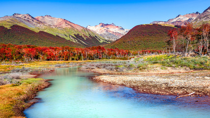 Beautiful landscape of lenga forest, mountains at Tierra del Fuego National Park, Patagonia