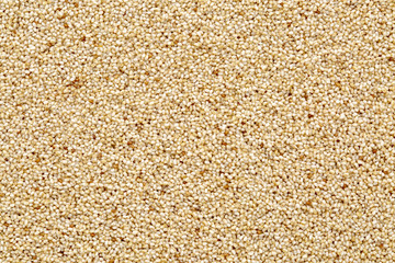 ivory teff grain background