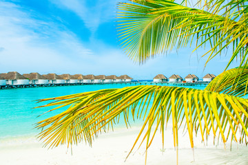 Beautiful sandy beach and over water tropical bungalo