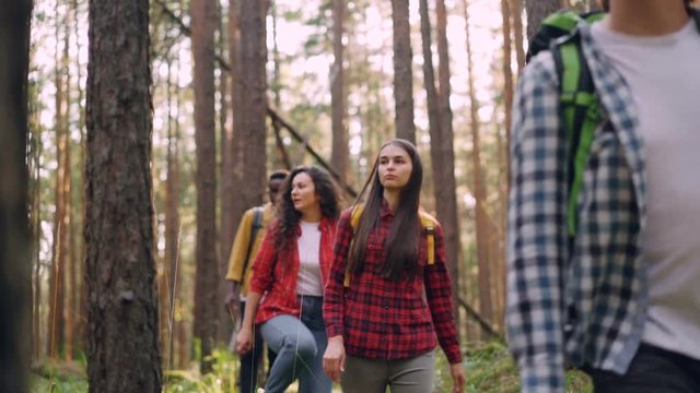 Slow motion of smiling young people walking in forest and looking around enjoying beautiful nature and fresh air on summer day. Friends, hiking and summertime concept.