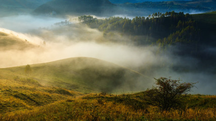 Landscape from Transylvania - Dumesti, Salciua - Romania