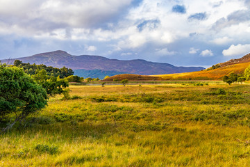 Braes of Foss view back to Tummel Bridge