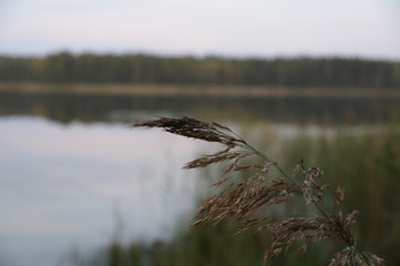 Lake September 5