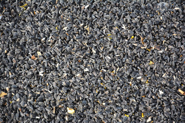 Sunflower seeds texture background. Sunflower seeds harvest dry