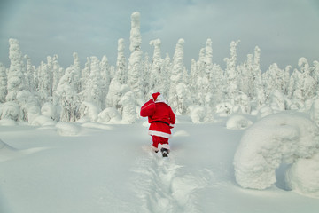 Authentic Santa Claus in Lapland.