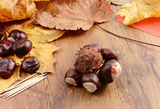 autumn tinker creative figures of Chestnuts like Caterpillar and turtle.