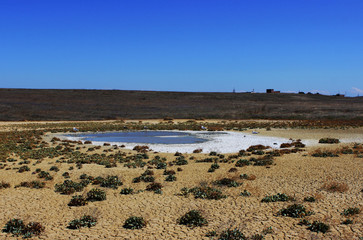 Obraz premium Valley of mud volcanoes, hills and a small lake with muddy brown water, which is created as a result of the release of gas methane, nitrogen and carbon dioxide from the earth's interior. 