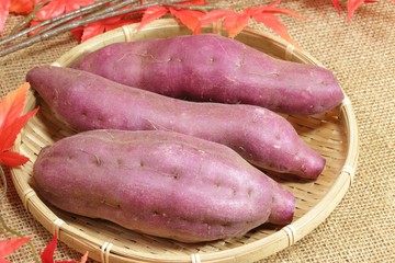 秋の収穫、加護に入った3本のさつま芋