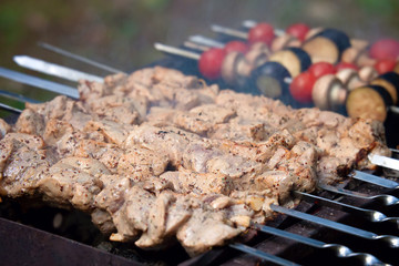 Shish kebab meat and vegetable with spices