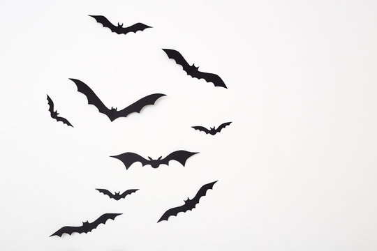 Bat paper decoration halloween