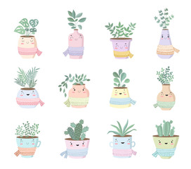 Vector collection of cute house plants in flower pots with scarf