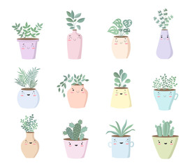 Vector collection of cute house plants in flower pots