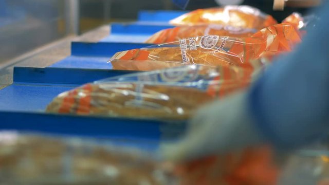 Packed bread on a conveyor, close up.