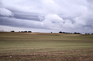 Obraz premium empty meadow in winter
