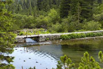 Fototapeta na wymiar Small bridge on lake Popradske pleso in Tatra mountains.