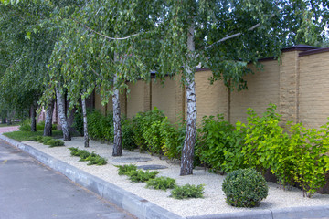 Modern garden design Coniferous plants in the garden