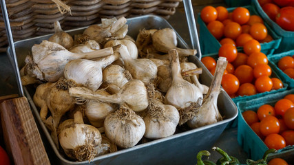 organic garlic