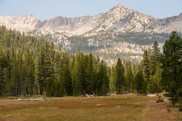 Grassy meadow in the mountain backcountry of the Sierra Nevada in California