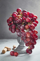 Still life with red grape bunch, wine corks on gray background - 221863046