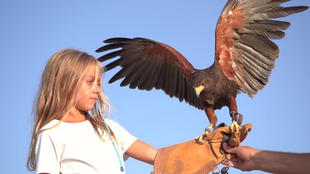 Blond girl blue eyes together hawk eagle.