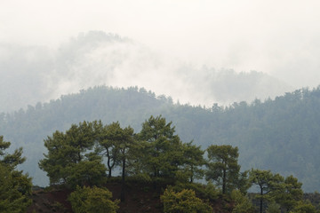 Nebel im Troodos-Gebirge