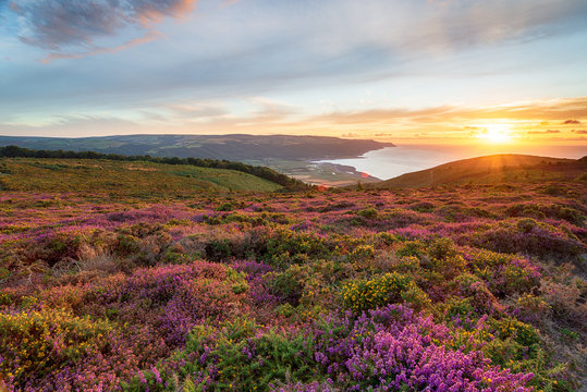 Sunset at Bossington Hill in Somerset - Powered by Adobe