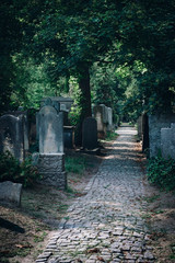 Historic Old Jewish cemetery in Wroclaw, Poland