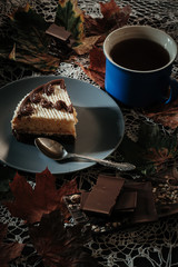 slice of cake with tea in autumn in the park