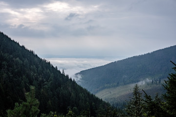 panoramic view of misty forest in western carpathian mountains. Tatra in foggy sunset
