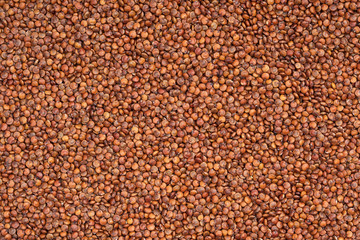 Background of red quinoa seeds covering the fulls frame