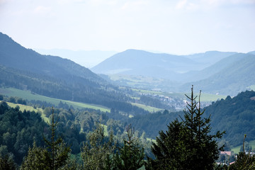 panoramic view of misty forest in western carpathian mountains. Tatra in foggy sunset