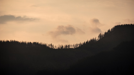 panoramic view of misty forest in western carpathian mountains. Tatra in foggy sunset