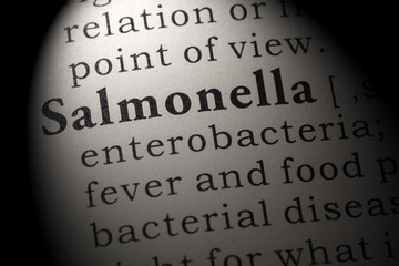 Obraz premium definition of Salmonella