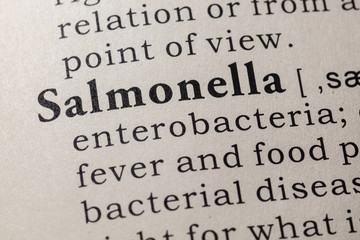 Obraz premium definition of Salmonella