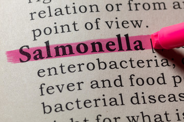 definition of Salmonella