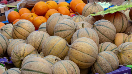 fresh melons on the market