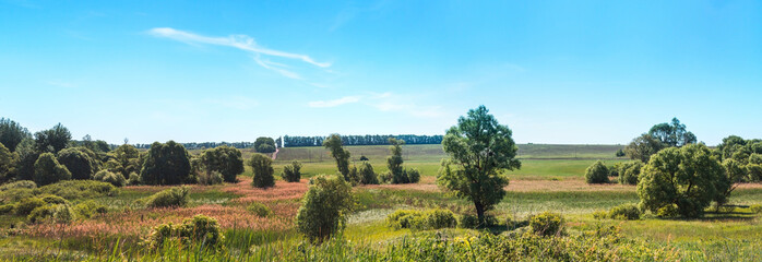 Fototapeta na wymiar Summer landscape sky, trees, field, bush country scene panorama