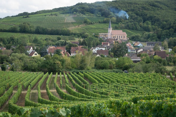 Fototapeta na wymiar Alsace, France - 08 25 2018: Andlau en Alsace, France . Village d'Andlau