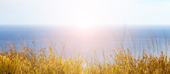 Panoramic view of sunset over the blue ocean horizon with golden grass along the coast