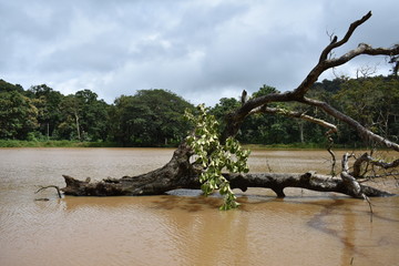 lake side