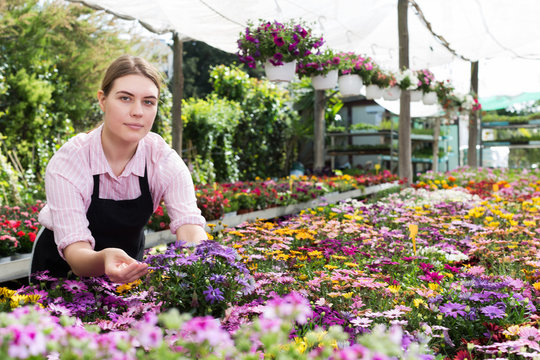 florist woman working in sunny greenhouse